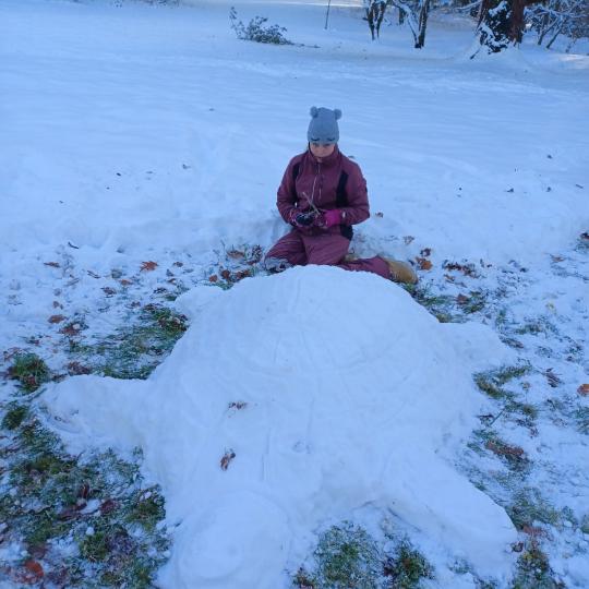 Přírodopis - socha želvy ze sněhu  5