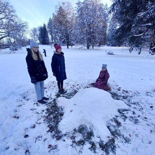 Přírodopis - socha želvy ze sněhu 