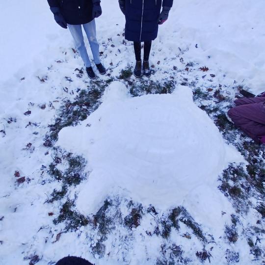 Přírodopis - socha želvy ze sněhu  7